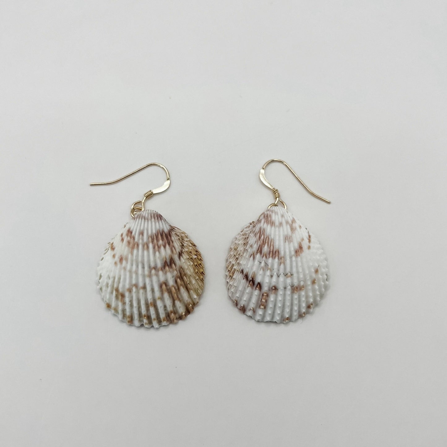 Spotted Cockle 14K Gold Filled Wire Earrings