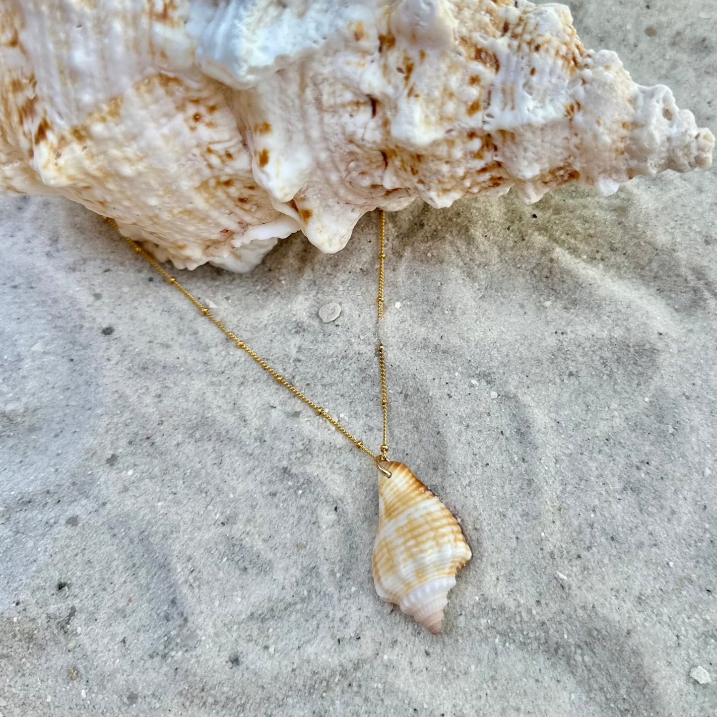 Yellow Florida Cone Shell Necklace 14K Gold Filled Chain