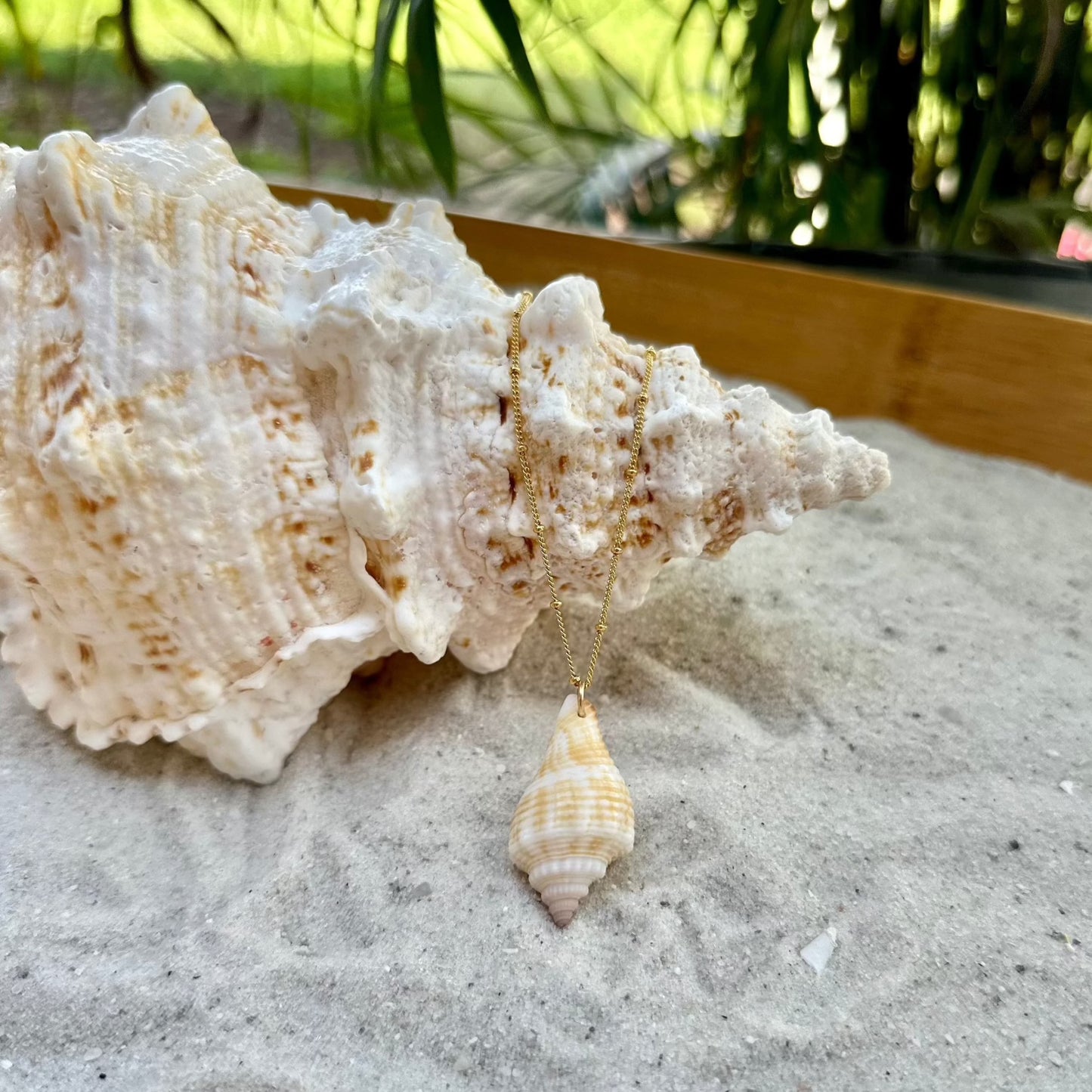 Yellow Florida Cone Shell Necklace 14K Gold Filled Chain