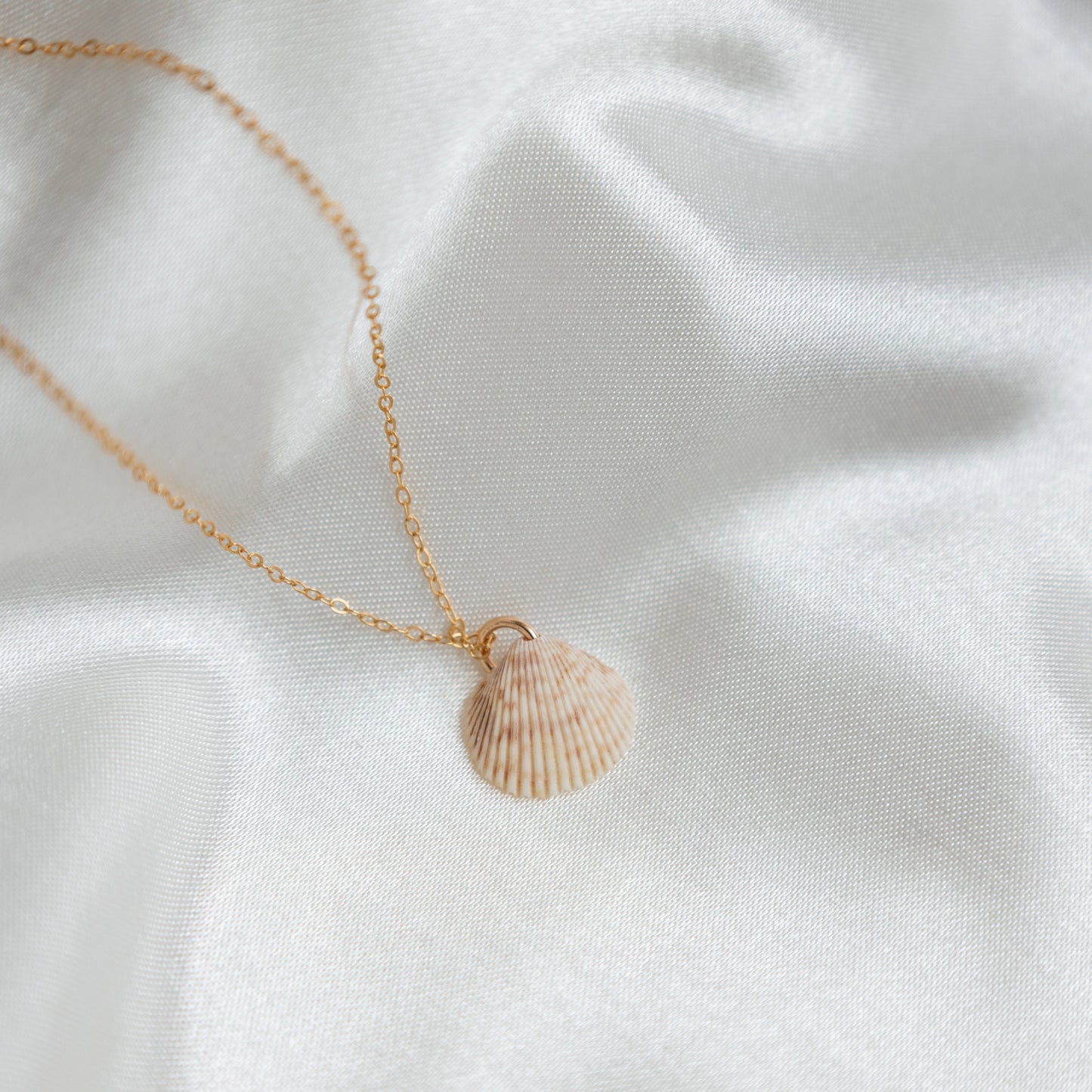 Mini Cockle 14k Gold Filled Necklace