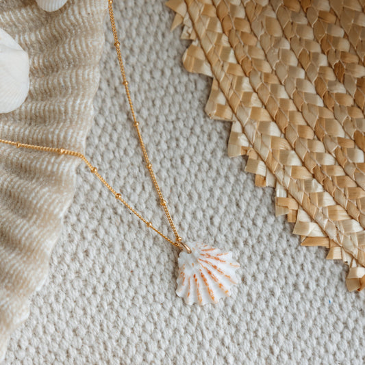 Spotted Kitten Paw Seashell 14k Gold Filled Satellite Necklace