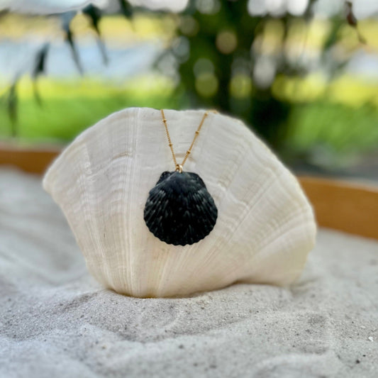 Unique Dark Scallop Seashell 14K Gold Filled Necklace