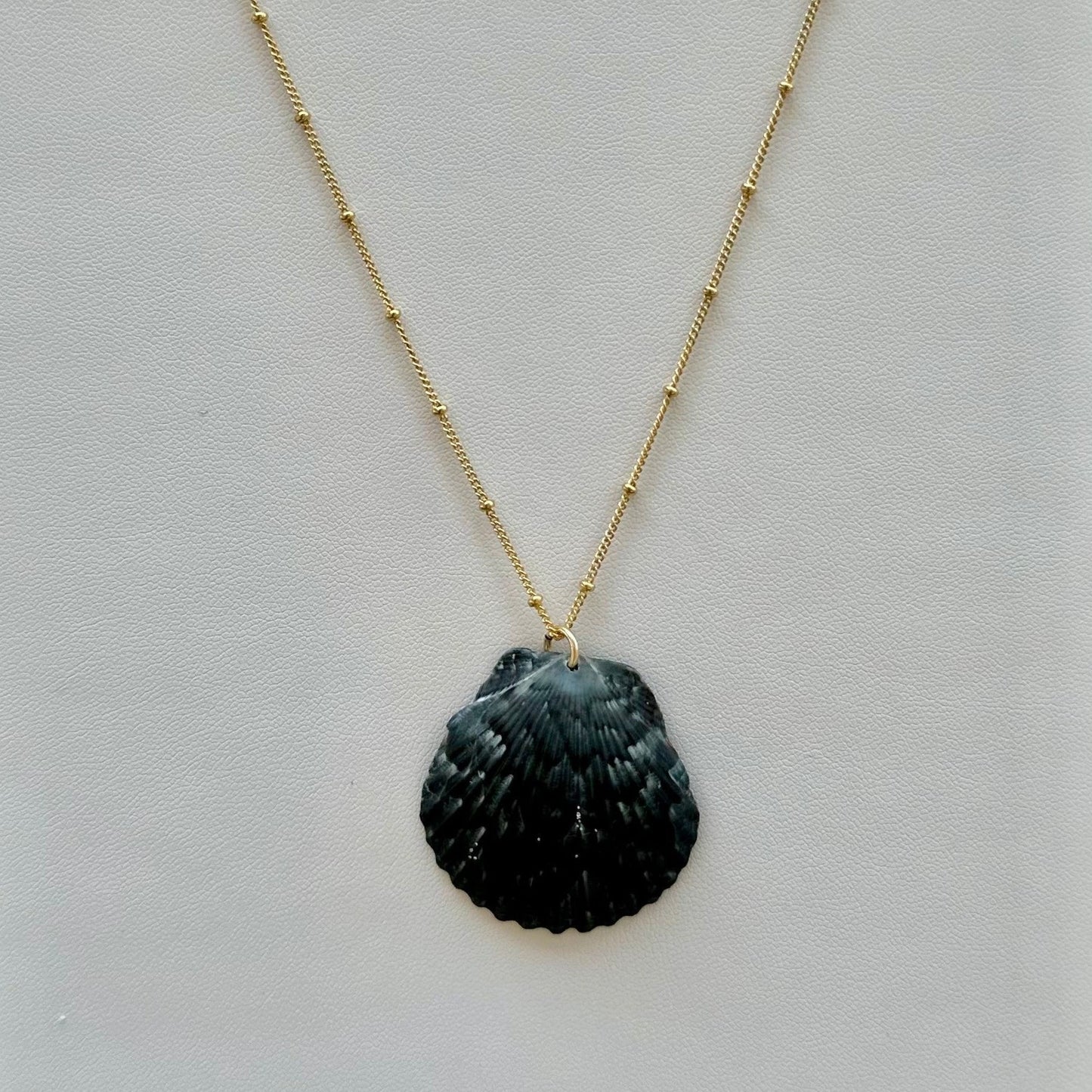 Unique Dark Scallop Seashell 14K Gold Filled Necklace