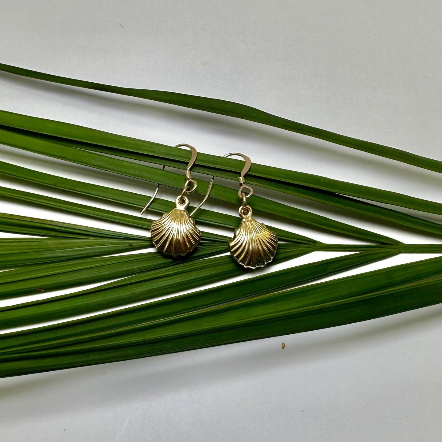 Double Sided Seashell Charm 14k Gold Filled Earrings