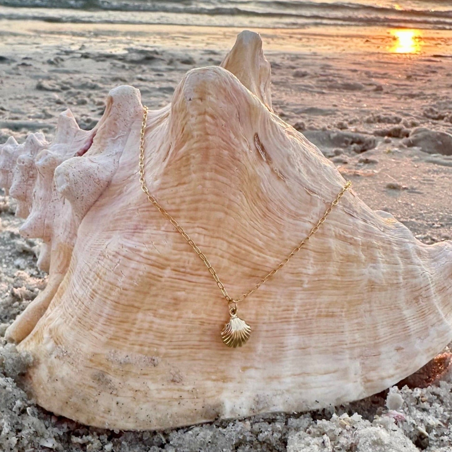 14k Gold Filled Double Sided Seashell Charm Necklace