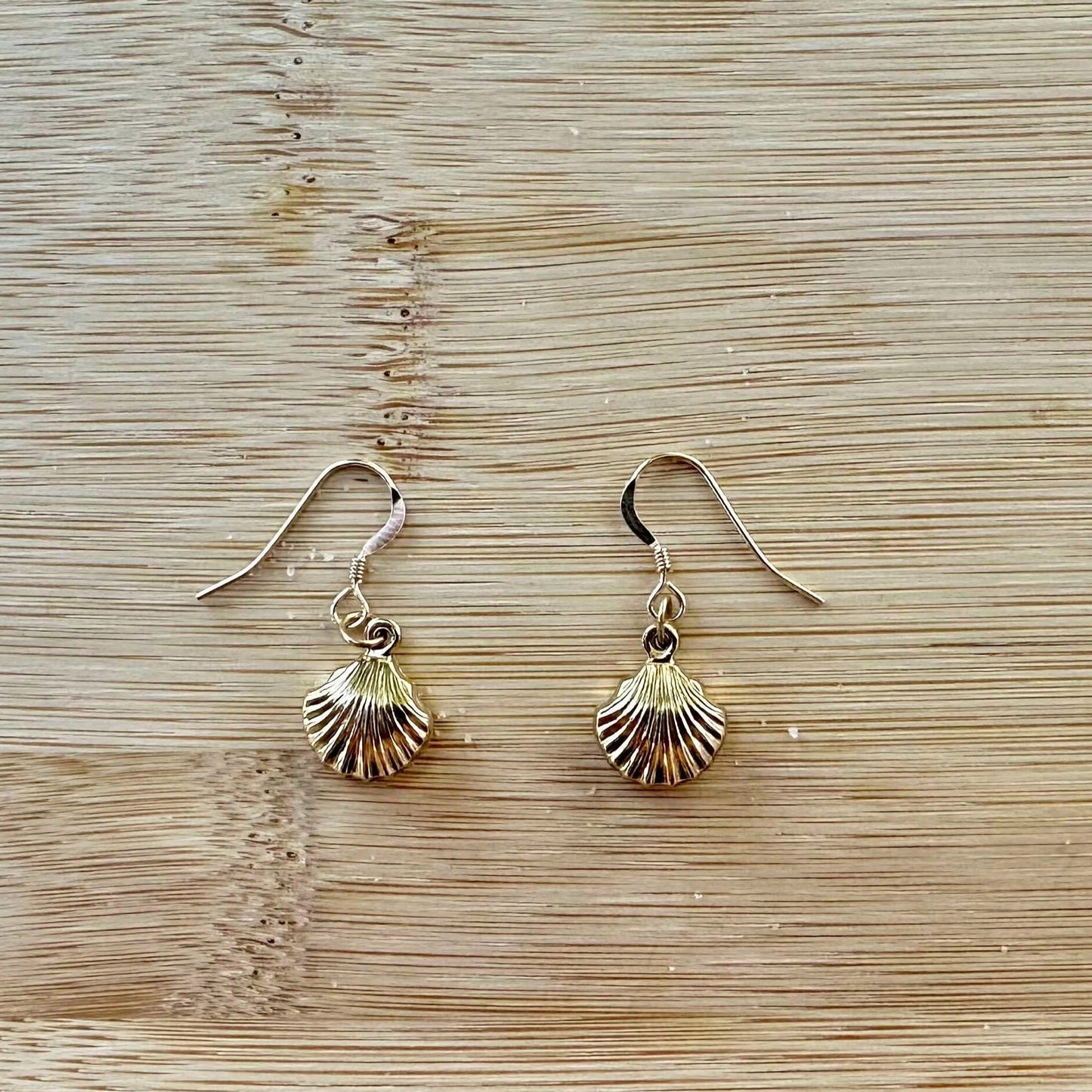 Double Sided Seashell Charm 14k Gold Filled Earrings