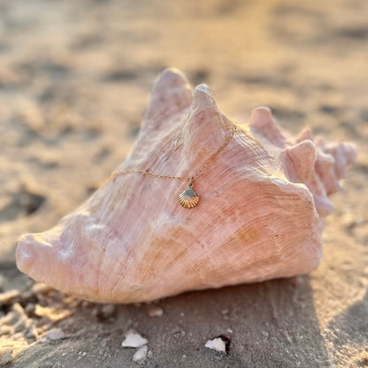 14k Gold Filled Double Sided Seashell Charm Necklace