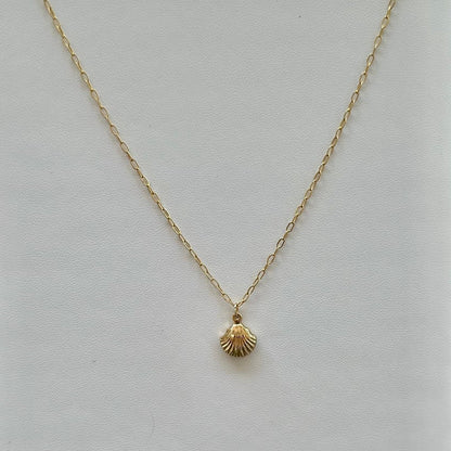 14k Gold Filled Double Sided Seashell Charm Necklace