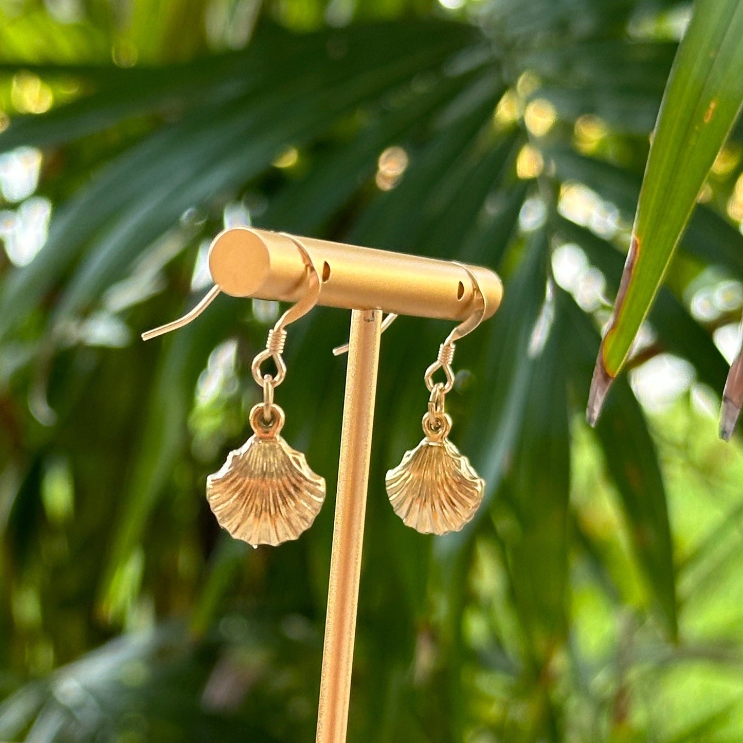 Double Sided Seashell Charm 14k Gold Filled Earrings