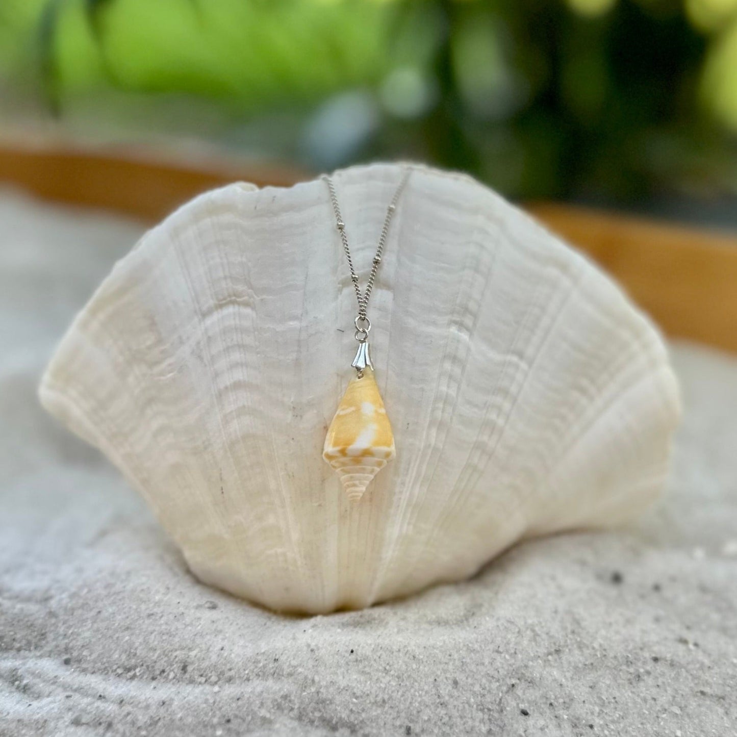 Yellow Florida Cone Shell Sterling Silver Necklace