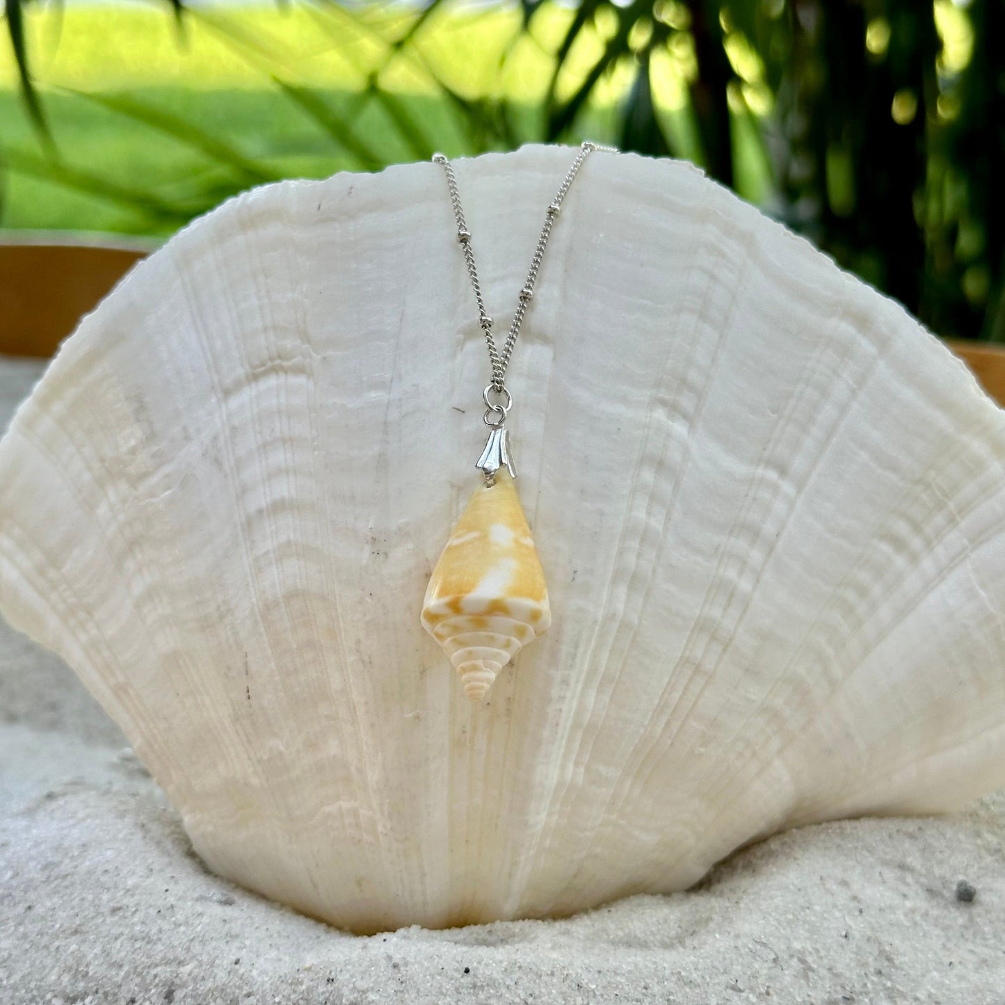 Yellow Florida Cone Shell Sterling Silver Necklace