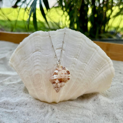 Unique Florida Rock Snail Seashell Sterling Silver Necklace