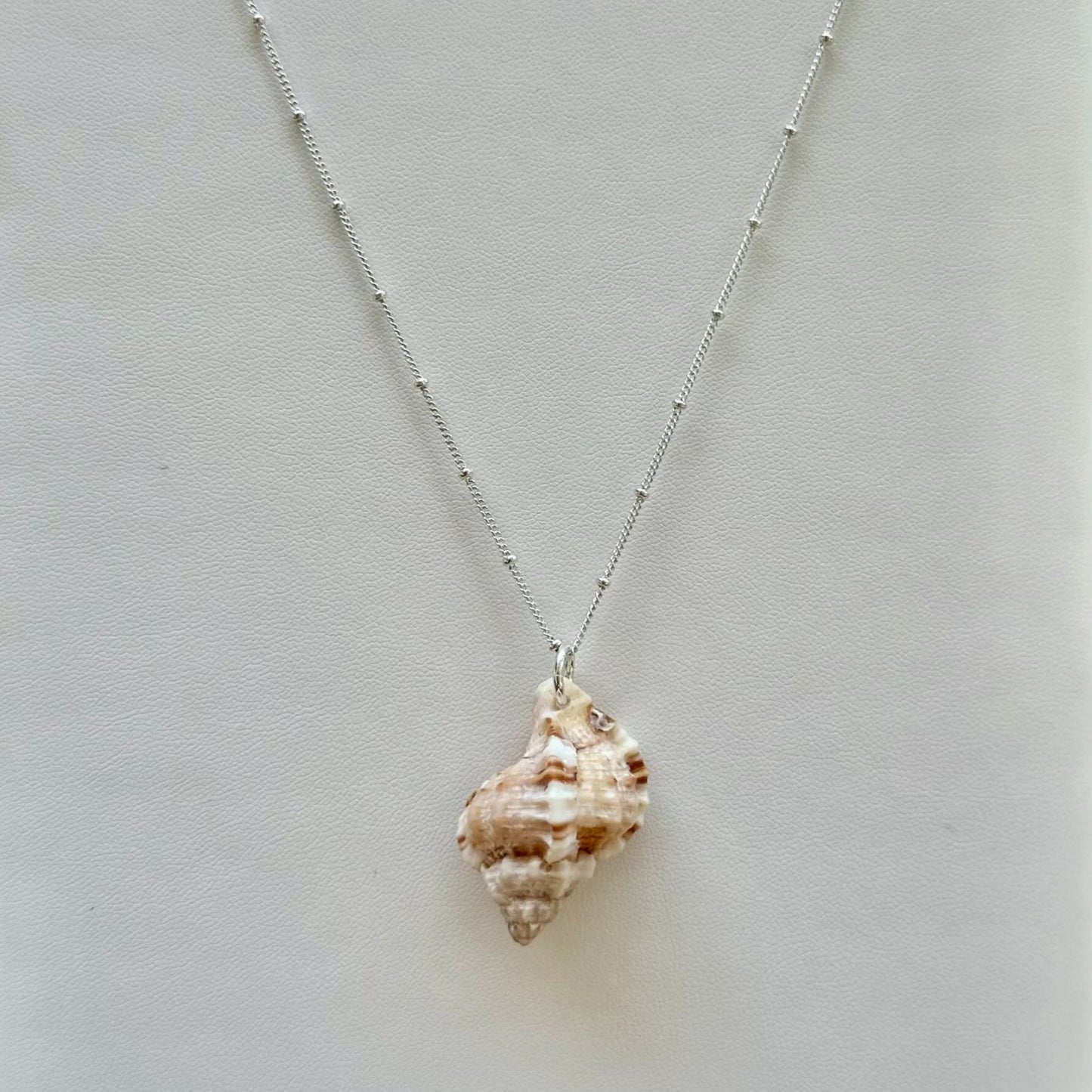 Unique Florida Rock Snail Seashell Sterling Silver Necklace