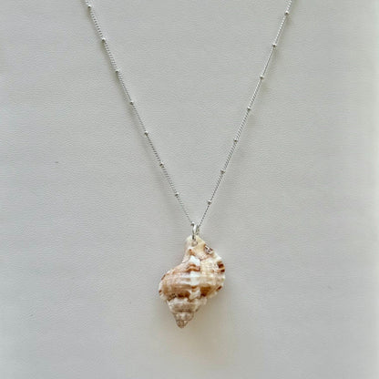 Unique Florida Rock Snail Seashell Sterling Silver Necklace