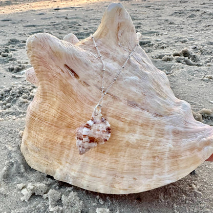 Unique Florida Rock Snail Seashell Sterling Silver Necklace