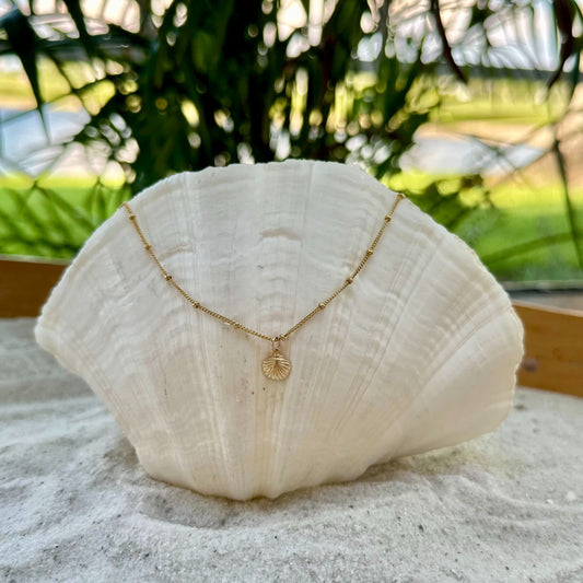 14k Gold Filled Mini Seashell Necklace