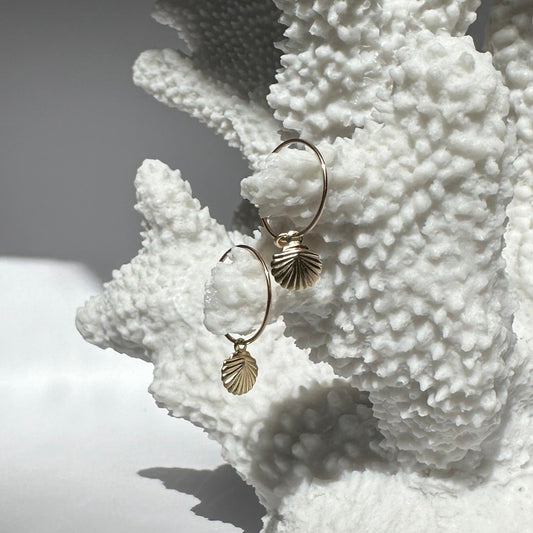 Mini Scallop Seashell Gold Filled Hoops Earrings