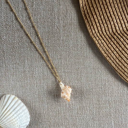 Unique Florida Rock Snail Seashell Gold Filled Necklace