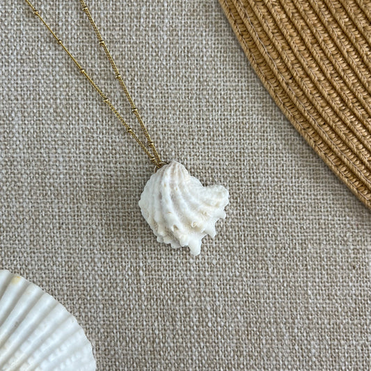 Spiny Jewel Box Seashell 14k Gold Filled Necklace