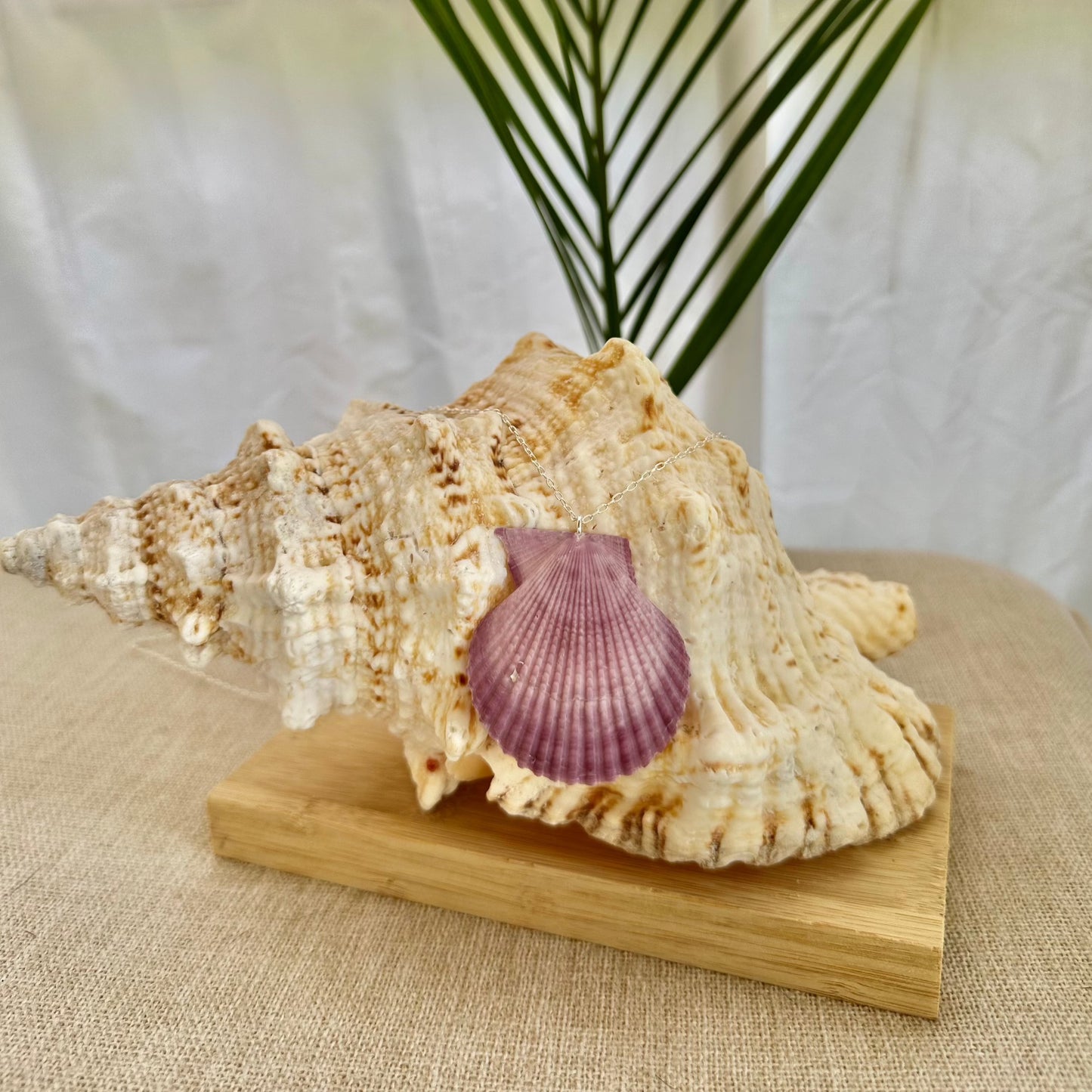 Purple Scallop Seashell Sterling Silver Necklace