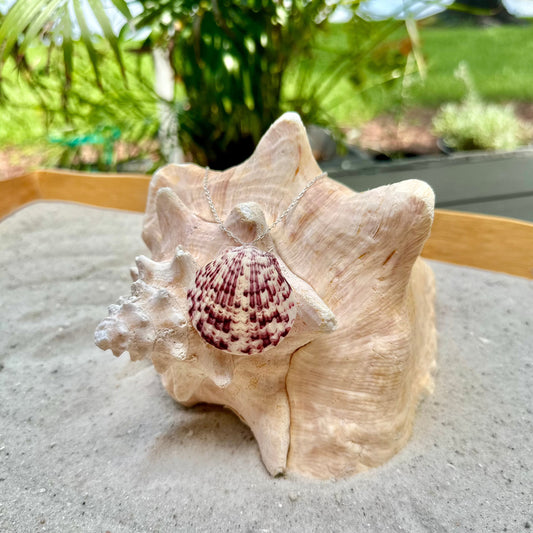 Spotted Purple Scallop Seashell Sterling Silver Necklace