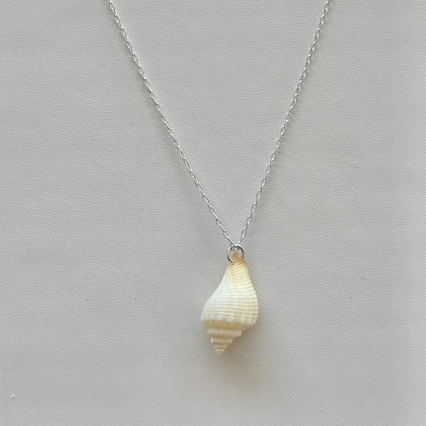 Off White Florida Cone Shell Sterling Silver Necklace