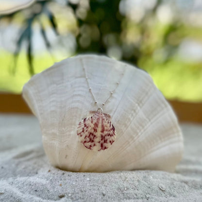 Pink Spotted Scallop Sterling Silver Satellite Necklace