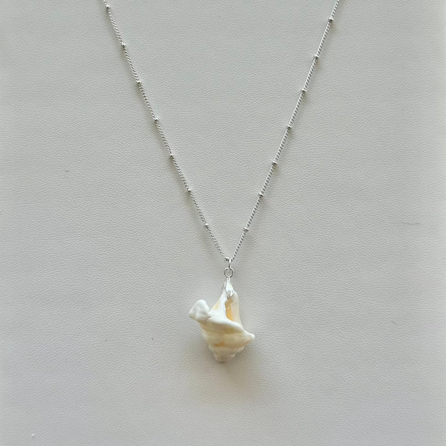 Unique Conch Tip Sterling Silver Seashell Necklace