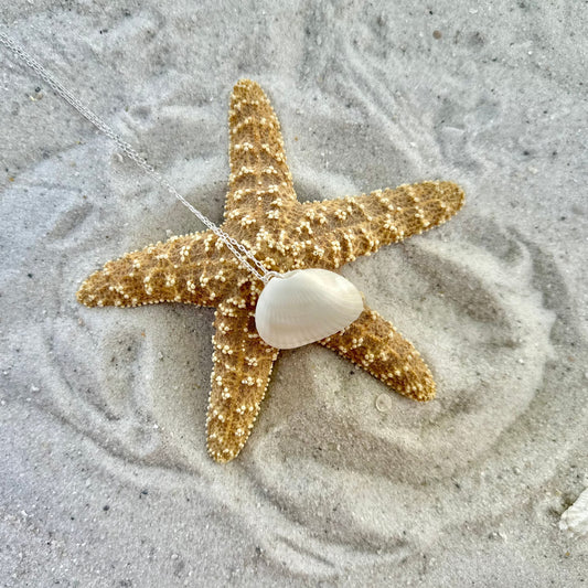 White Angel Wing Seashell Sterling Silver Necklace