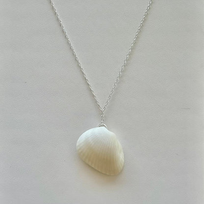 White Angel Wing Seashell Sterling Silver Necklace