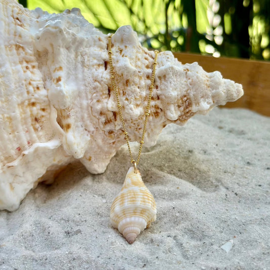 Yellow Florida Cone Shell Necklace 14K Gold Filled Chain