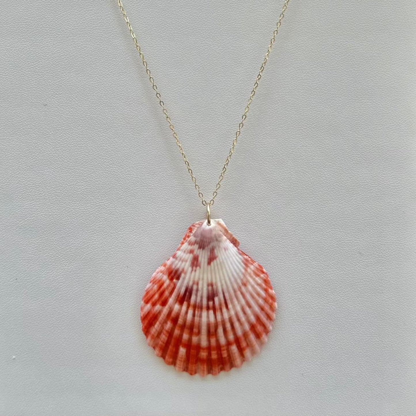 Red Scallop 14k Gold Filled Necklace