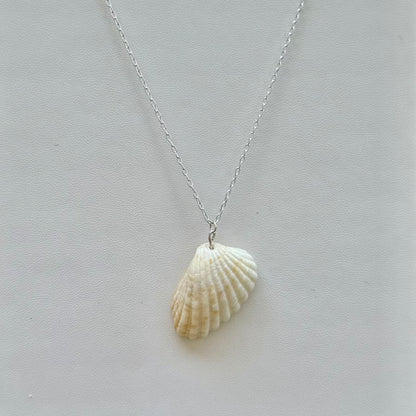 Sunkissed Angel Wing Seashell Sterling Silver Necklace