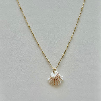 Spotted Kitten Paw Seashell 14k Gold Filled Satellite Necklace