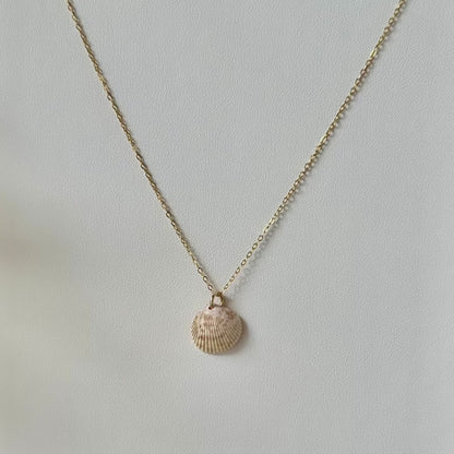 Mini Cockle 14k Gold Filled Necklace