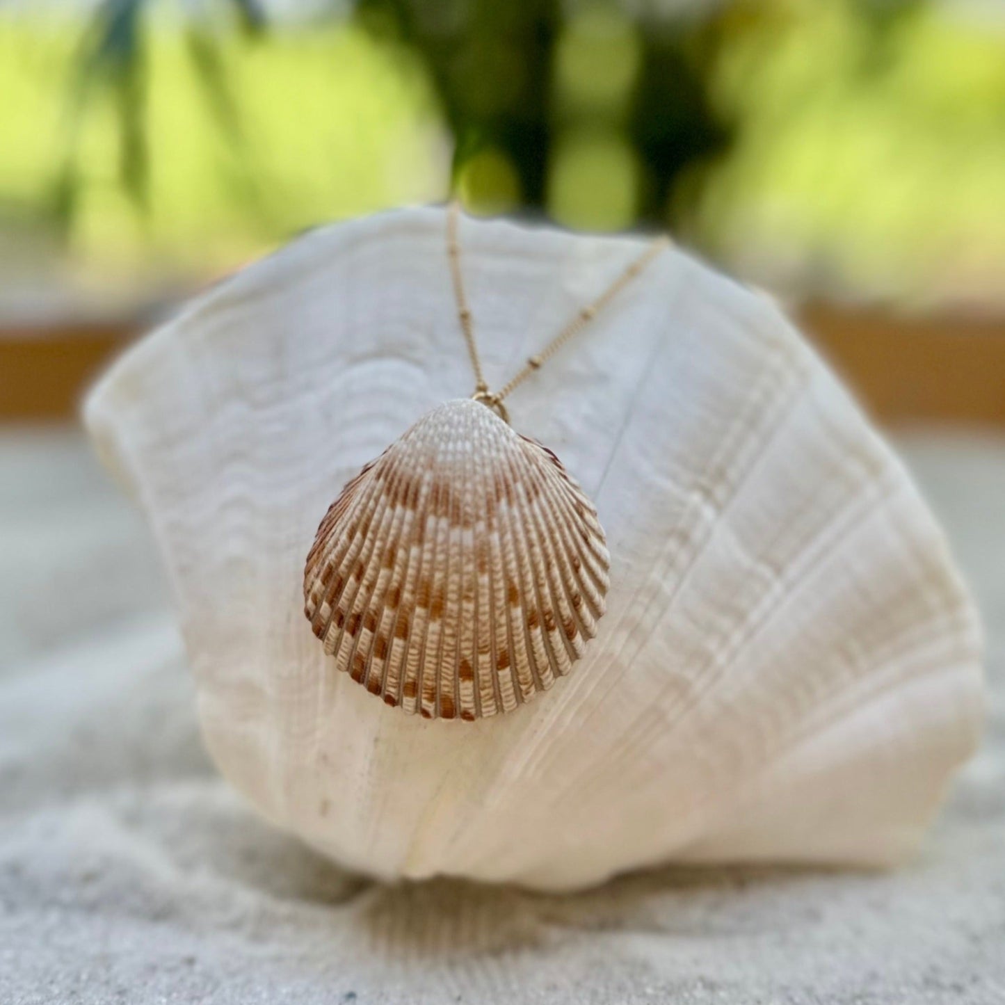 Large Cockle 14k Gold Filled Necklace