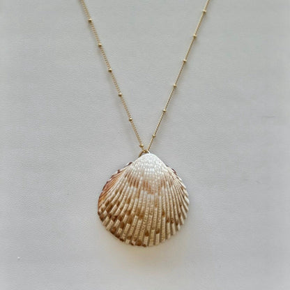 Large Cockle 14k Gold Filled Necklace