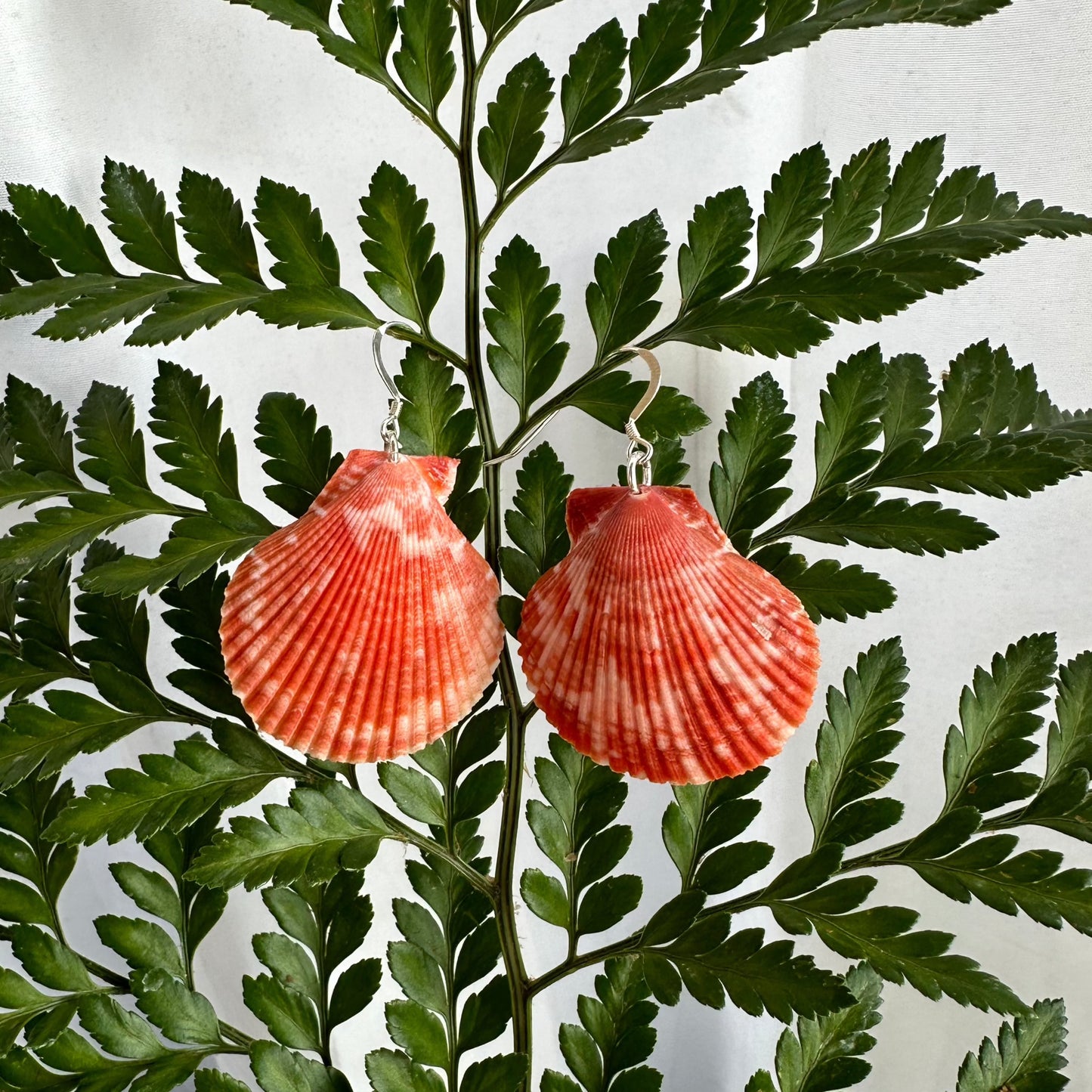 Large Red Scallop Sterling Silver Earrings