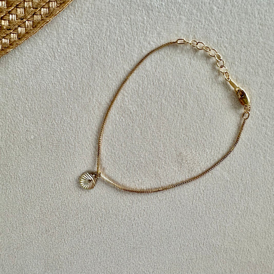 Mini Sea Shell Gold-Filled Venetian Infinity Bracelet