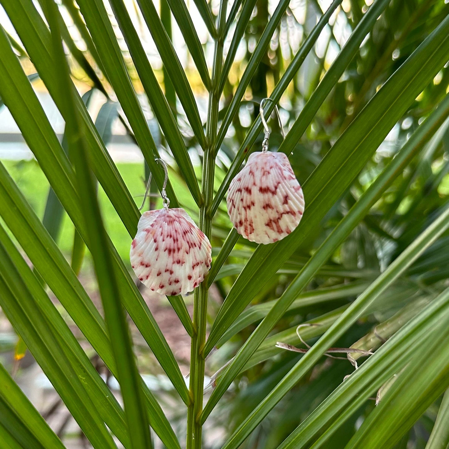 Pink Scallop Sterling Silver Earrings