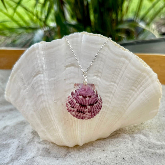 Unique Pink Spotted Scallop Sterling Silver Paperclip Necklace