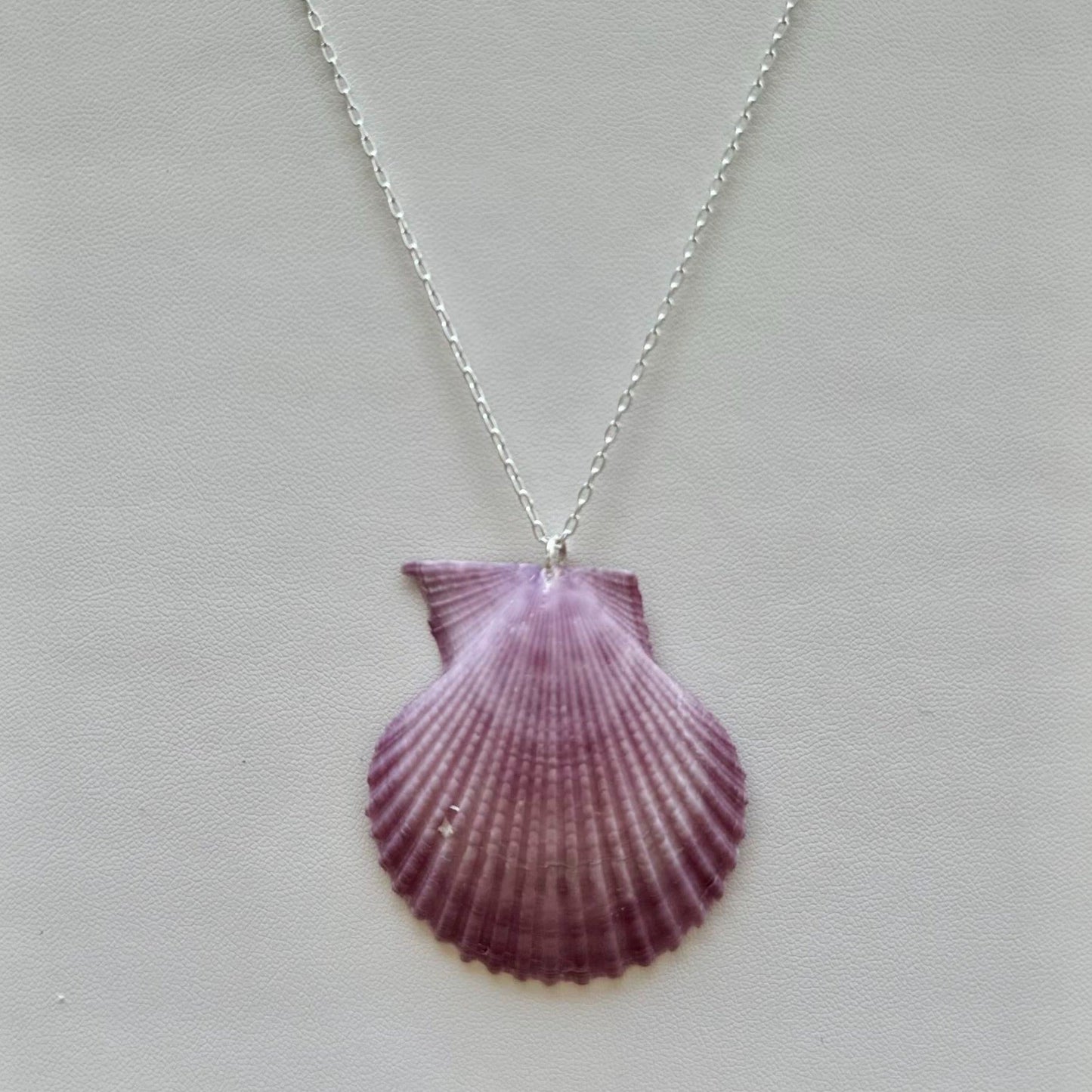 Purple Scallop Seashell Sterling Silver Necklace