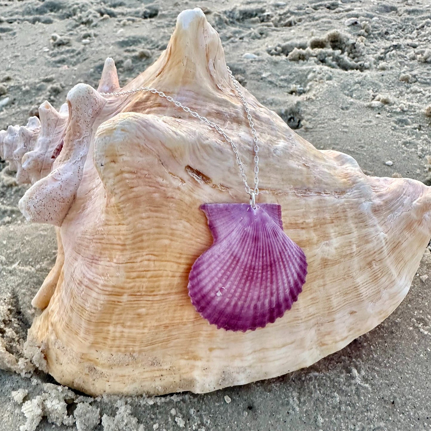 Purple Scallop Seashell Sterling Silver Necklace