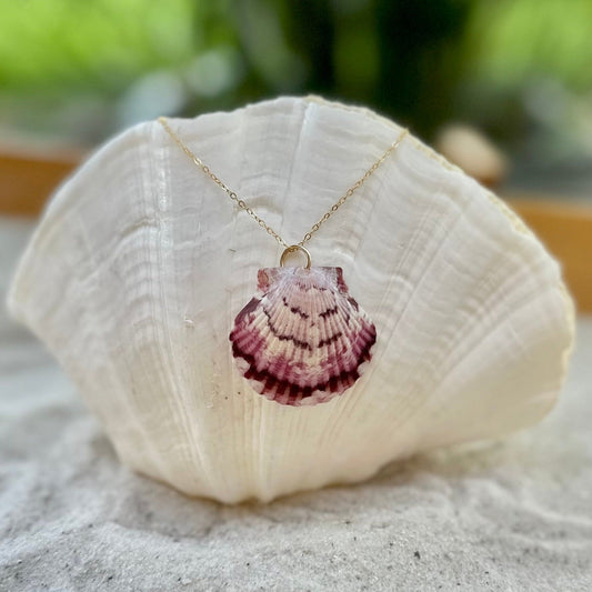 Unique Pink Spotted Scallop 14k Gold Filled Necklace