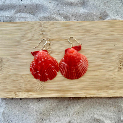 Red Large Scallops 14K Gold Filled Earrings