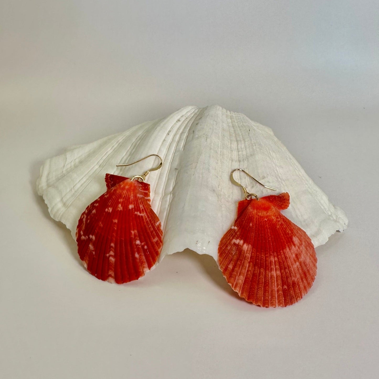 Red Large Scallops 14K Gold Filled Earrings