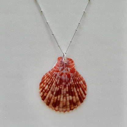 Red Scallop Seashell Sterling Silver Necklace