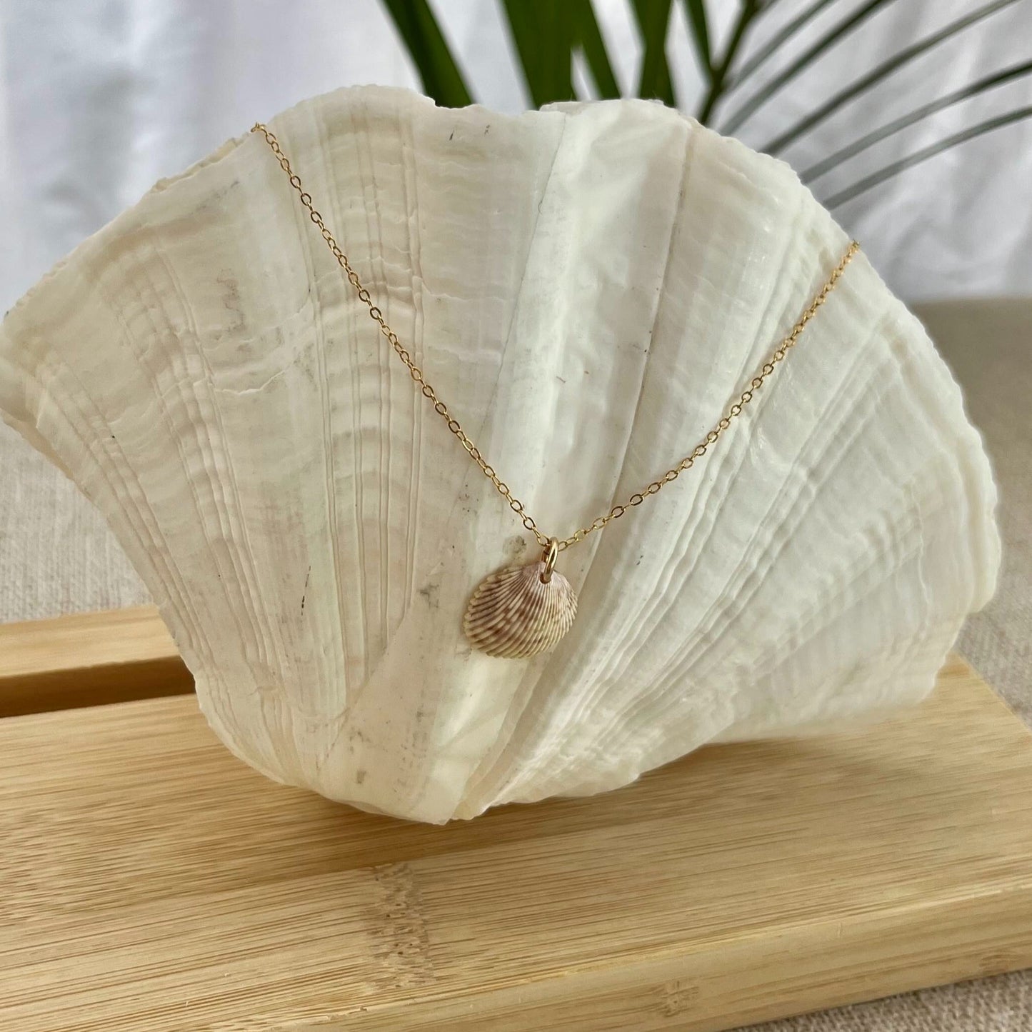 Mini Cockle 14k Gold Filled Necklace