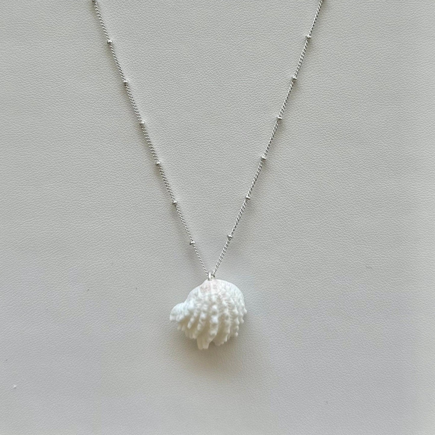 Spiny Jewel Box Seashell Sterling Silver Necklace