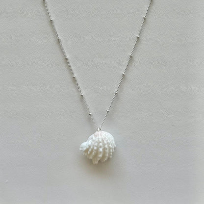 Spiny Jewel Box Seashell Sterling Silver Necklace